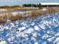 Borsbeek sneeuw